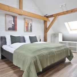 Stilvolle Apartments I Kostenloses Parken I home2share, hotel din Dessau