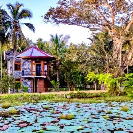Romantic Jungle Hideaway