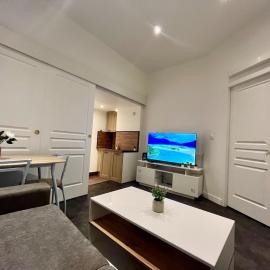 T3 urbain à 15 min de Lyon, hotel a Pierre-Bénite