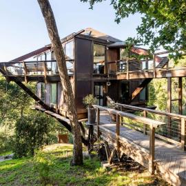 Peaceful Treehouse with Ocean View, Hotel in Aptos