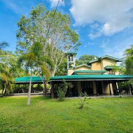 The Yala Vista