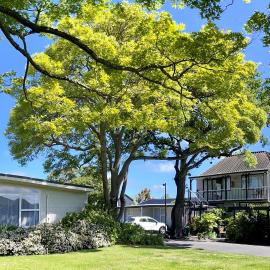 Ashleigh Court Motel-Christchurch Hagley Park, hotel a Christchurch