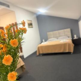 Hotel Višnjica，Španat的飯店