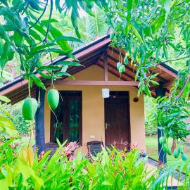 suncity privacy cottages
