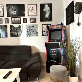 Modern apartment - Salento Guest House