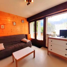 Studio Confort 4 Pers. St-Lary Soulan – Balcon Sud, salle musculation, sauna & jacuzzi - FR-1-457-229, hotel en Vignec