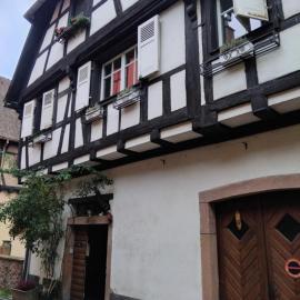 Musloch Kaysersberg