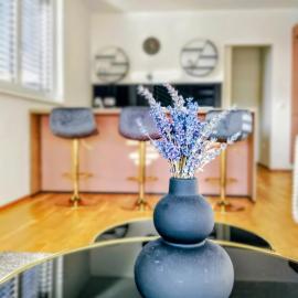 Apartments Ana