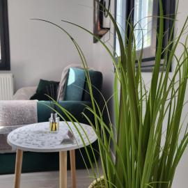 Căsuța Piticilor, hotel en Broşteni