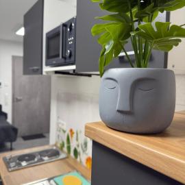 Ruhige Apartments an der Donau - Schwaben Living, hotel en Munderkingen