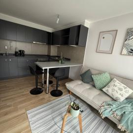 Departamento completo - Fundo el Carmen