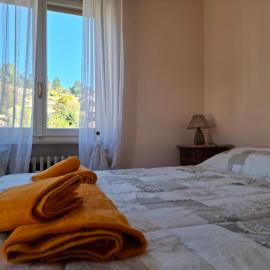 Casa Camelia
