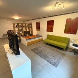 Helle Kellerwohnung im Grünen mit Sauna