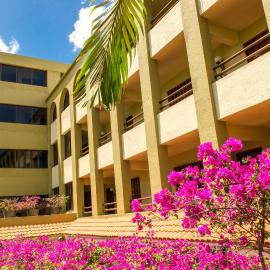 Hotel Casa Colonial Cozumel-Dog Friendly, hotel in Cozumel