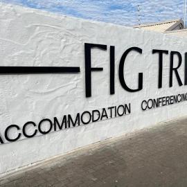 Fig Tree Guesthouse, מלון בווינדהוק