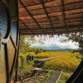 Yidan Farmstay in Chiang Dao, hotel in Ban Mae Khon