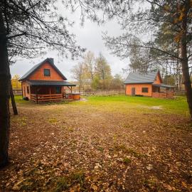 Bolek i Lolek domki do wynajęcia