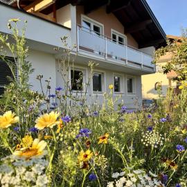 Appartement Mona