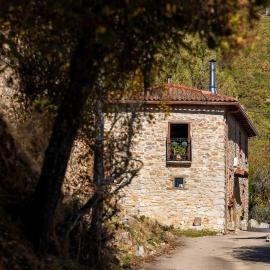 Genciana, el encanto en La Montaña Leonesa