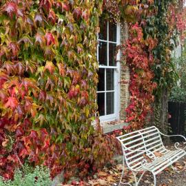 The Old Presbytery, hotel sa Mallow