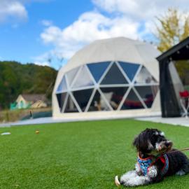 GLAMPING&BBQ VILLAGE Takibi Terrace - Vacation STAY 97093v, hotel em Kawabe