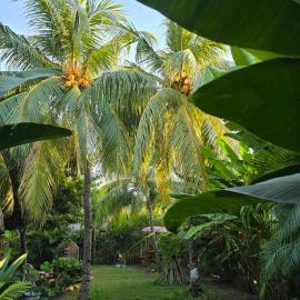 Utopia Bungalows Gili Air