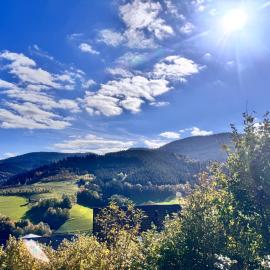 Hotel Schauinsland, hotel v destinaci Bad Peterstal-Griesbach