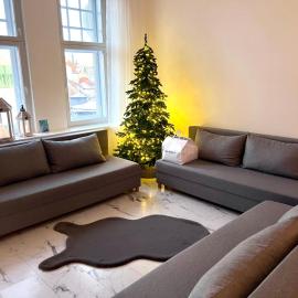 Old Town 3Room Apartment