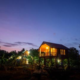 Lion Wood Treehouse, hotel di Talkote