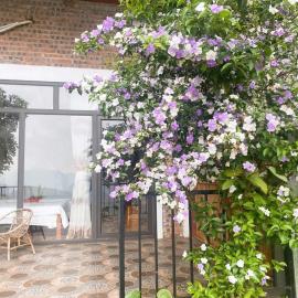 Mai Hill Homestay, hotel a Làng Bang