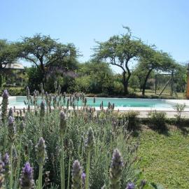 AGUAPÉ - Alojamiento rural con PILETA - hasta 4 huéspedes, hotel a Chajarí