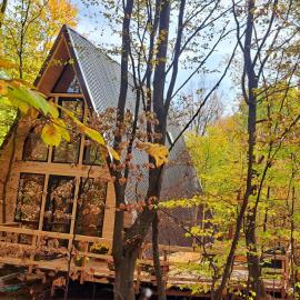 Cabana A-FRAME 3, khách sạn ở Curtea de Argeş