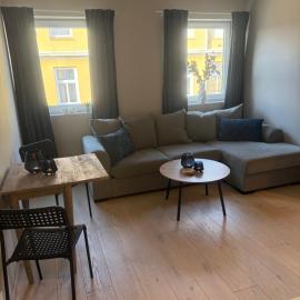 Notodden Sentrum Apartment NO 4, hotell i Notodden