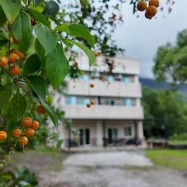 Shu Hai Cui Hu Homestay: Zhixue şehrinde bir otel