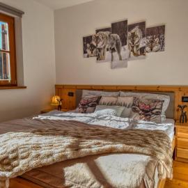 Maibrunn apartment Dali, ski-in&out