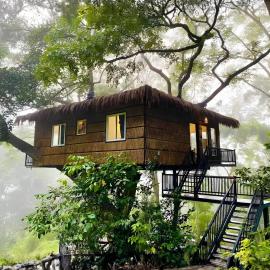Tree Nature Resort, khách sạn ở Hali Ela
