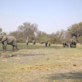 Khwai Game Lodge and Campsite, hotell sihtkohas Khwai