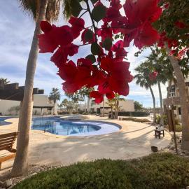 Caracoles Paradise Homes N106, hotel v destinácii Puerto Peñasco