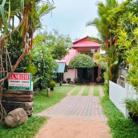 SA Village, hotel en Dambulla