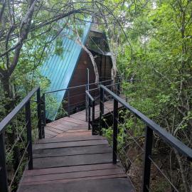 The Wild Yala
