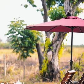 Illukawela Walauwa, Hotel in Embilipitiya