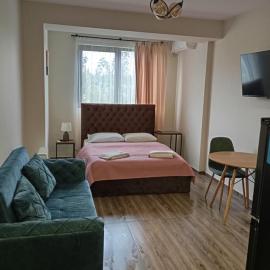 Bagebi 45 Apartment