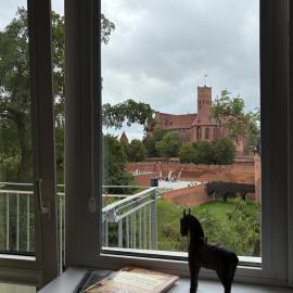 Widok na Zamek, hotel di Malbork