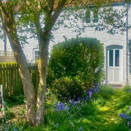 Jenny's Cottage 27553