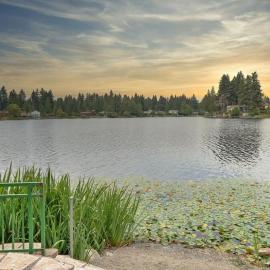 Lake Waterfront Craftsman Modern, hotel in Auburn