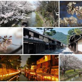 Guesthouse Omihachiman, hotel a Omihachiman