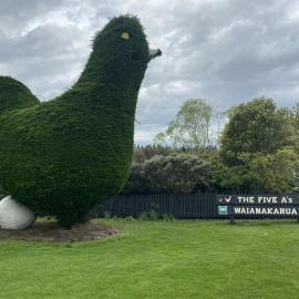 The Big Chook Accommodation, hotel in Waianakarua
