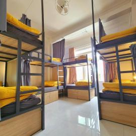 Dalat Tiny Tigers Hostel, Hotel in Đà Lạt