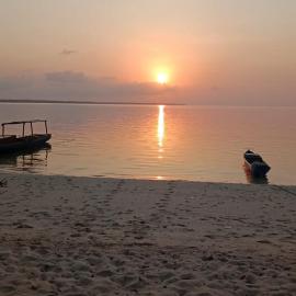 Hoga Island Dive Resort, hotel in Liwuto