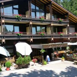 Hotel-Restaurant Jägerhof, hotel di Unterreichenbach